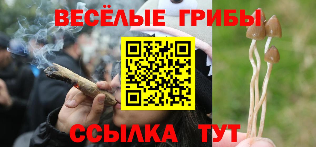 Псилоцибиновые грибы Cubensis  Вход с VPN  Белово 